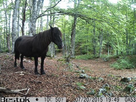 A “Peak” at the Importance of Mountain Ecosystems | Earthwatch