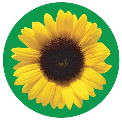 Welkom Bij Hidden Disabilities Sunflower Scheme Maak Jouw Eigen Persoonlijke Hidden Disabilities