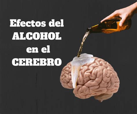 Efectos Del Alcohol En El Cerebro Neuropsicologueando