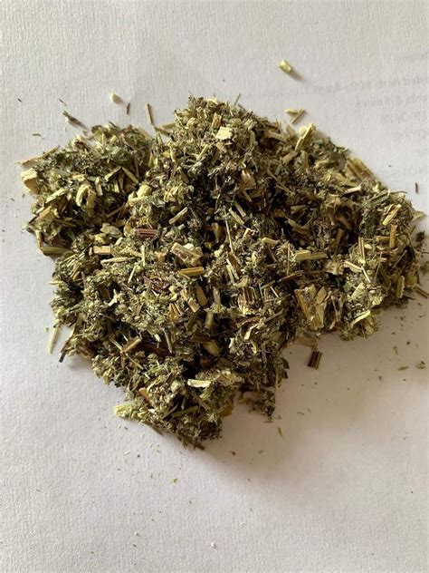 Mugwort Dried Herb 50g From The Spiceworks Hereford Herbs And Spices Uk Grocery