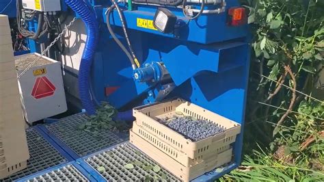 Kokan 500s Berry Harvester Youtube