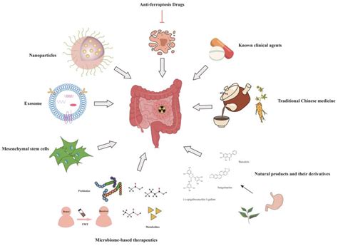 Toxics Free Full Text Radiation Induced Intestinal Injury Injury