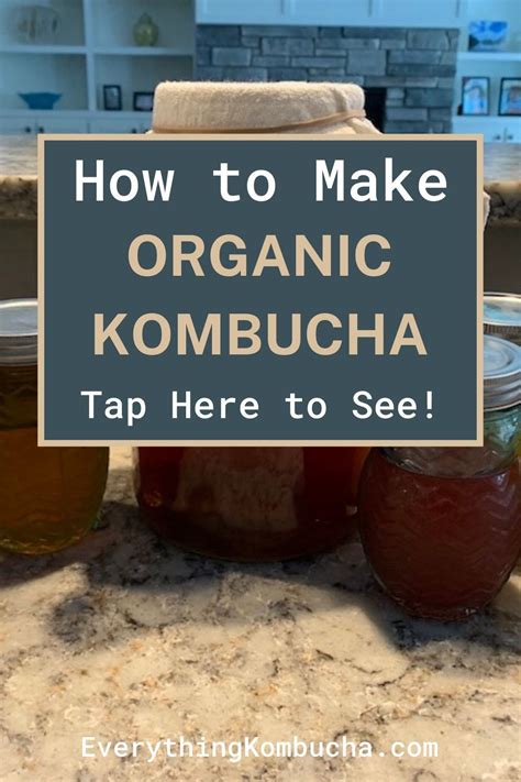 11 Flavored Kombucha Recipes Your Body Will Thank You For Artofit