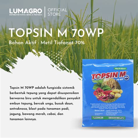 Fungisida Topsin M Wp Gr Metil Tiofanat Lumagro