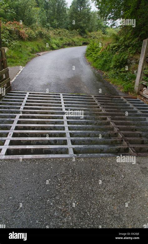 Cattle Grid Stock Grid Cattle Guard Vehicle Pass Texas Gate Stock