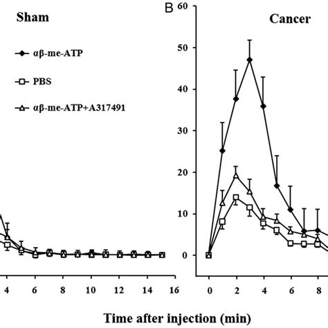 Bone Cancer Increased The Flinch Responses Evoked By Subcutaneous