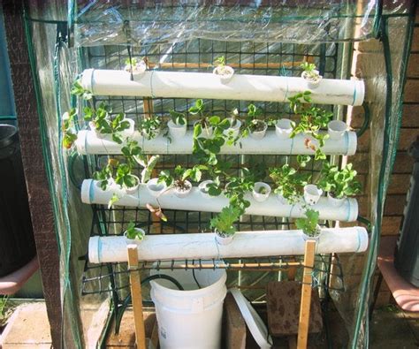 DIY Hydroponics - Instructables