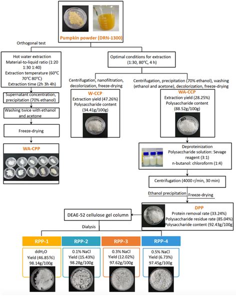 Pumpkin Polysaccharide Sequential Extraction And Purification Process