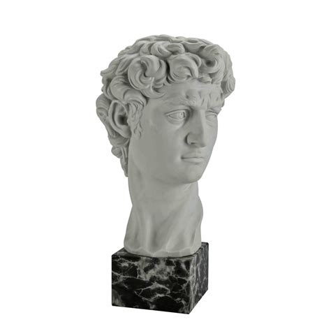 Michelangelo David Head