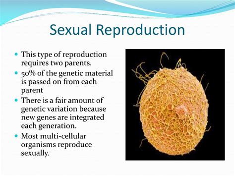 Ppt Cellular Reproduction Powerpoint Presentation Free Download Id 2559250