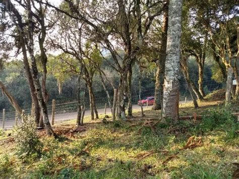 TERRENO LOCALIZADO NA VILA ELÉTRA Distrito Elétra Sao Francisco de