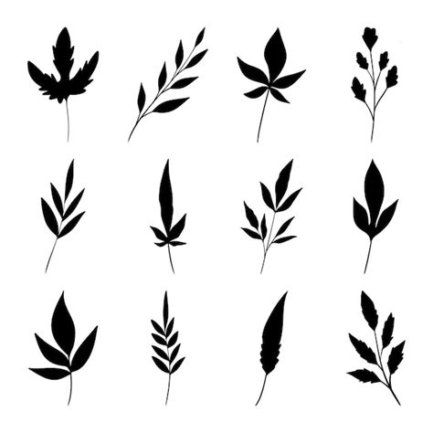 Premium Vector Set Of Leaves Silhouette Vector