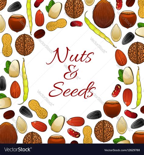 Nuts And Seeds Poster Royalty Free Vector Image