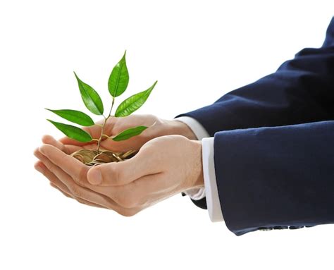 Mãos segurando uma planta brotando de um punhado de moedas no fundo