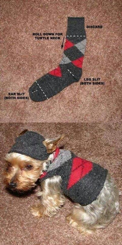 How To Make A Puppy Sweater Out Of A Sock Great Diy Dog Clothes