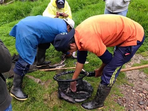 img  amyssouthamericanadventure