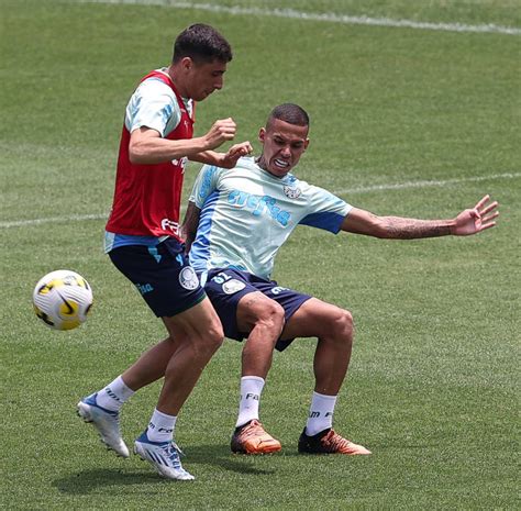 Veja Fotos Do Ltimo Treino Do Palmeiras Antes De Encarar Athletico Pr