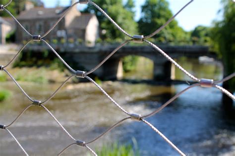 Free Images Tree Water Nature Grass Branch Fence Barbed Wire