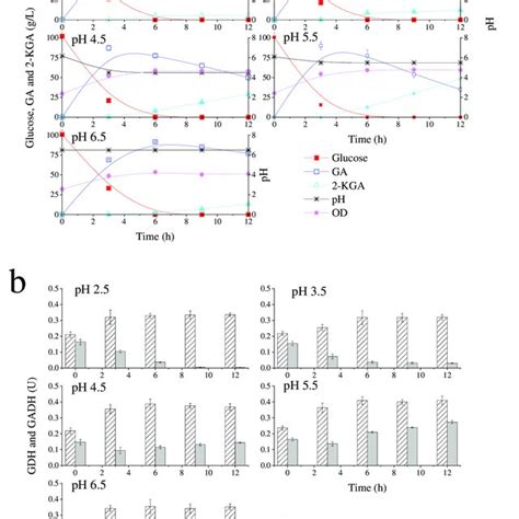 Gluconobacter oxydans growth kinetics, glucose metabolism kinetics (GA:... | Download Scientific ...