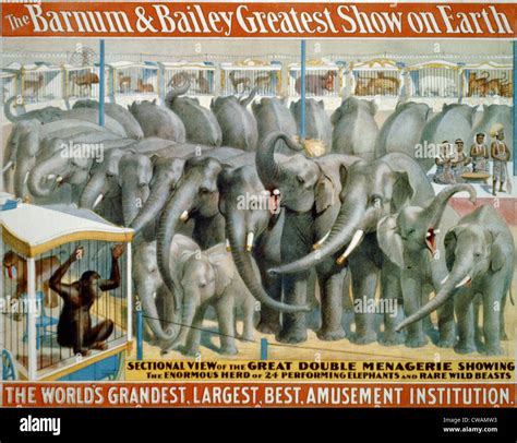 Poster for Barnum and Bailey circus showing performing elephants and animals in cages Stock ...