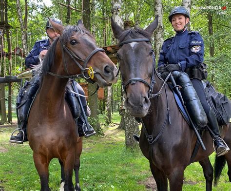 Policjanci Na Koniach Wspieraj Tyskich Wodniak W Wiadomo Ci