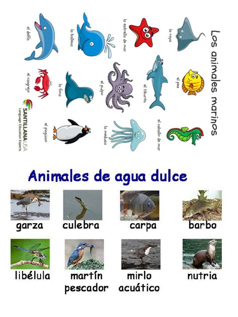 Animales Marinos Agua Dulce Y Salada Pdf
