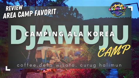 Camping Ala Korea Di Djamuju Coffee Camp Ciwidey Area Blok B3 Dan B5