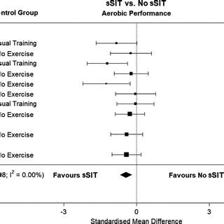 Forest Plot Showing The Differences In Effect Sizes In Vo Max Of Ssit