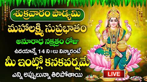 Live శనివారం రోజు వెంకటేశ్వర సుప్రభాతం ఉదయాన్నే విన్నారంటే మీ