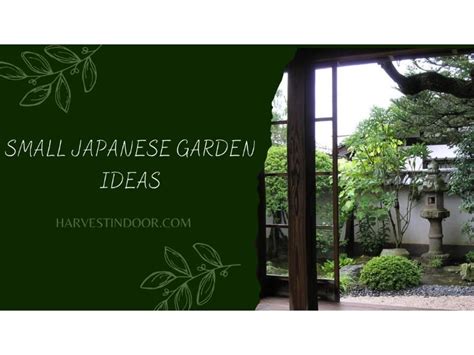 Small Japanese Garden Ideas - Harvest Indoor