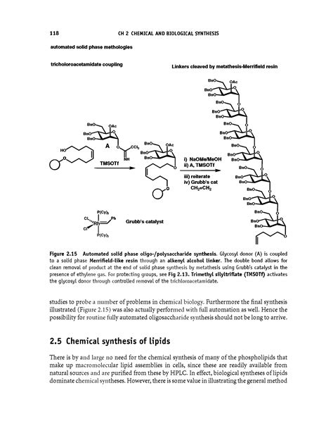 Solid phase polysaccharide synthesis - Big Chemical Encyclopedia