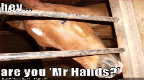 Mr. Hands: Video Gallery | Know Your Meme