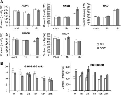 The Nudt7 Mutation Affects Cellular Redox Homeostasis Levels Of Adpr