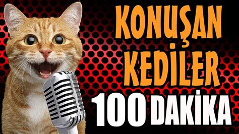 Konu An Kediler Dakika Sinema Tad Nda En Komik Kedi Videolar