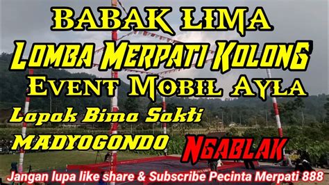 Babak Lima Lomba Merpati Kolong Event Mobil Ayla Lapak Bima Sakti