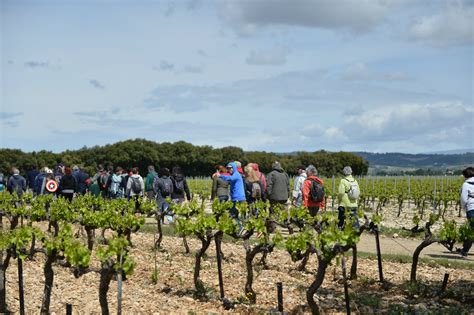 Camaret Sur Aigues Balade Gourmande Lever Le Pied Sur Les Routes Et