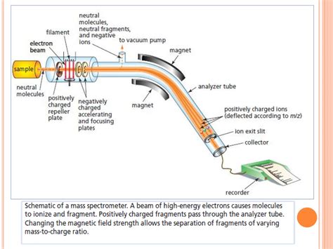 Mass Spectrometry.pdf