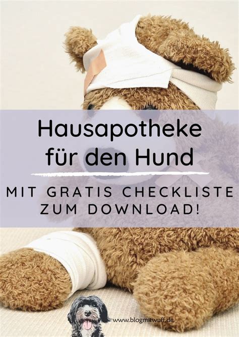 Checkliste für Hausapotheke Was braucht der Hund miDoggy Community