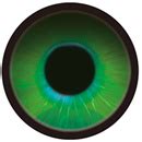 Elsa Babe 平野 凛 165cm高級シリコン製ラブドール良乳美しい特殊部隊のキャプテン