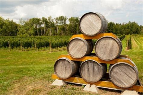 Canadian Wine Regions: Learn, Visit & Explore in 2024