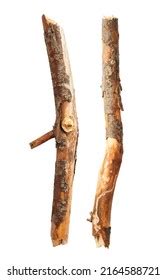 54,854 Tree Stick Isolated Images, Stock Photos & Vectors | Shutterstock