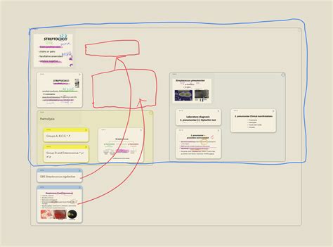 Flexible Mindmap Layout Feature Requests Marginnote