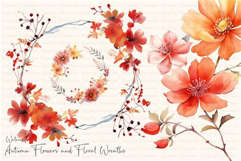 Watercolor Autumn Flowers And Wreaths Design Cuts