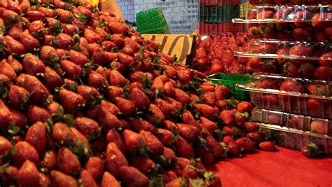 México rebasa las exportaciones agroalimentarias de todo 2021