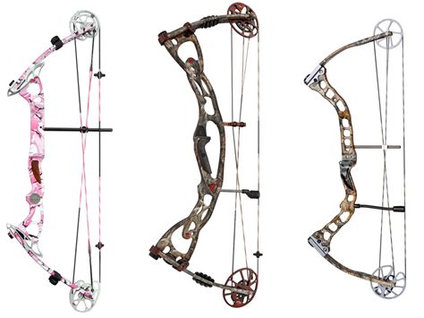 The 20 Best Hunting Bows Under $500