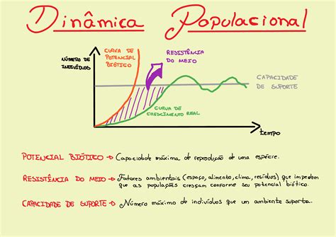 Dinâmica Populacional Mapa Mental EDUKITA