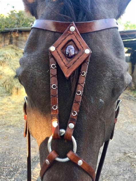 Show Bridle English Bridle Western Bridle Bitless Bridle Hackamore