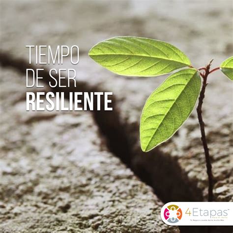 Resiliencia Resiliente qué es y cómo conseguirla