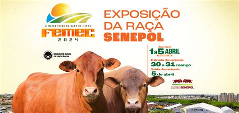 Femec A Maior Feira Do Agro De Minas