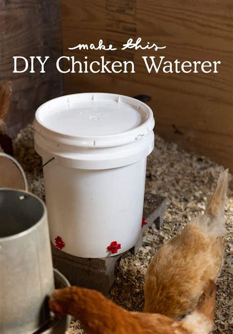 Diy Chicken Waterer And Feeder From 5 Gallon Buckets 55 Off